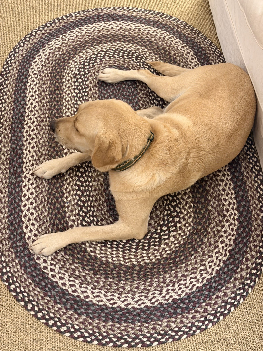 Aubergine Oval Jute Rug