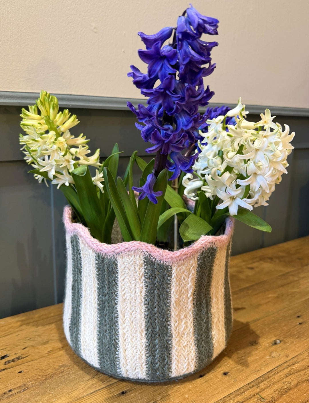 Tulip Basket Fig